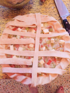 Rhubarb Custard Pie
