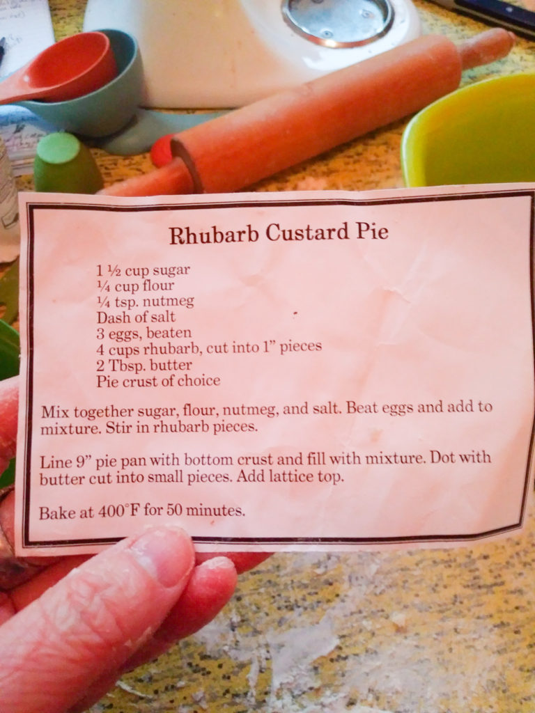 Rhubarb Custard Pie