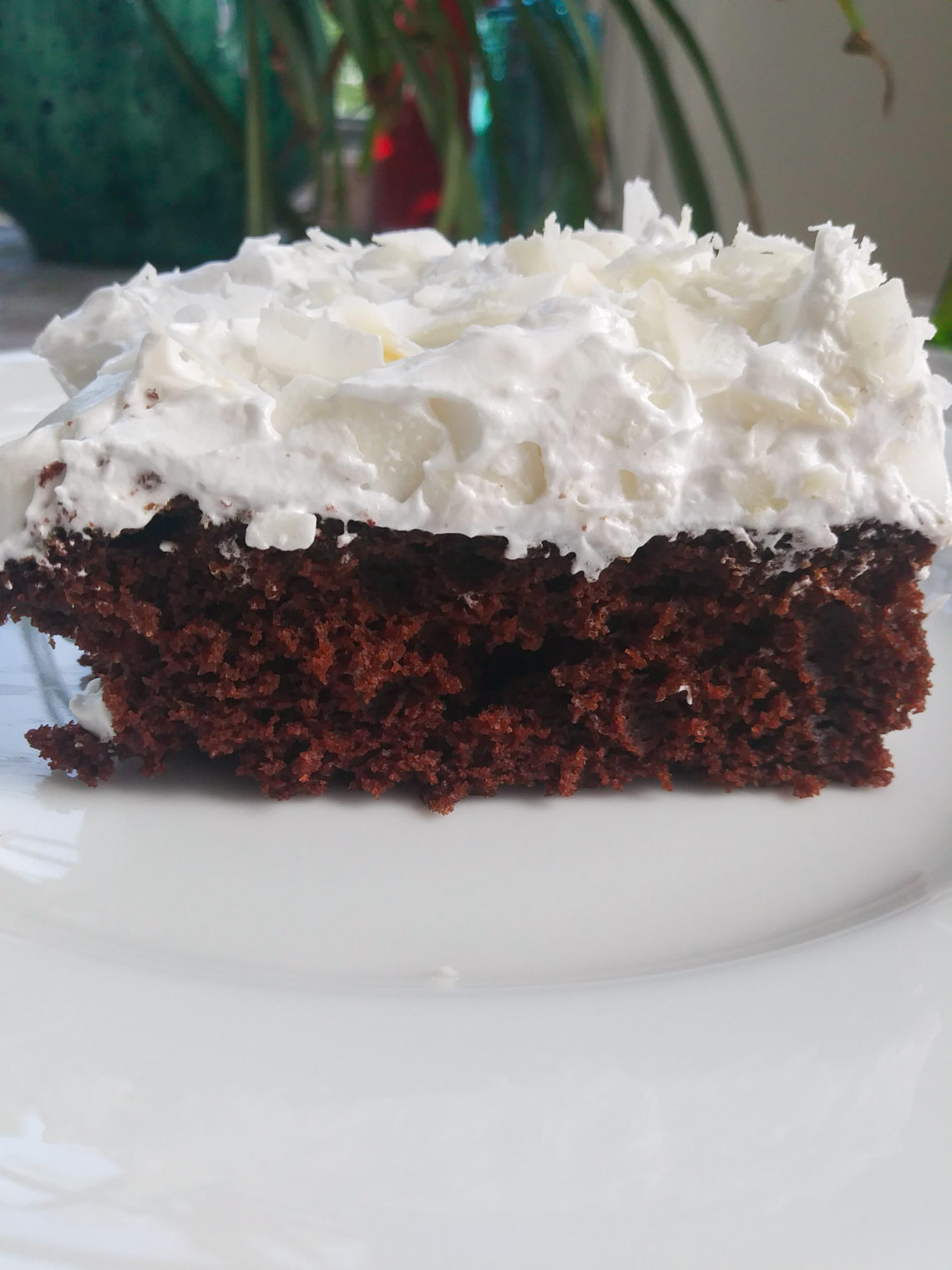 Devil's Food Snack Cake