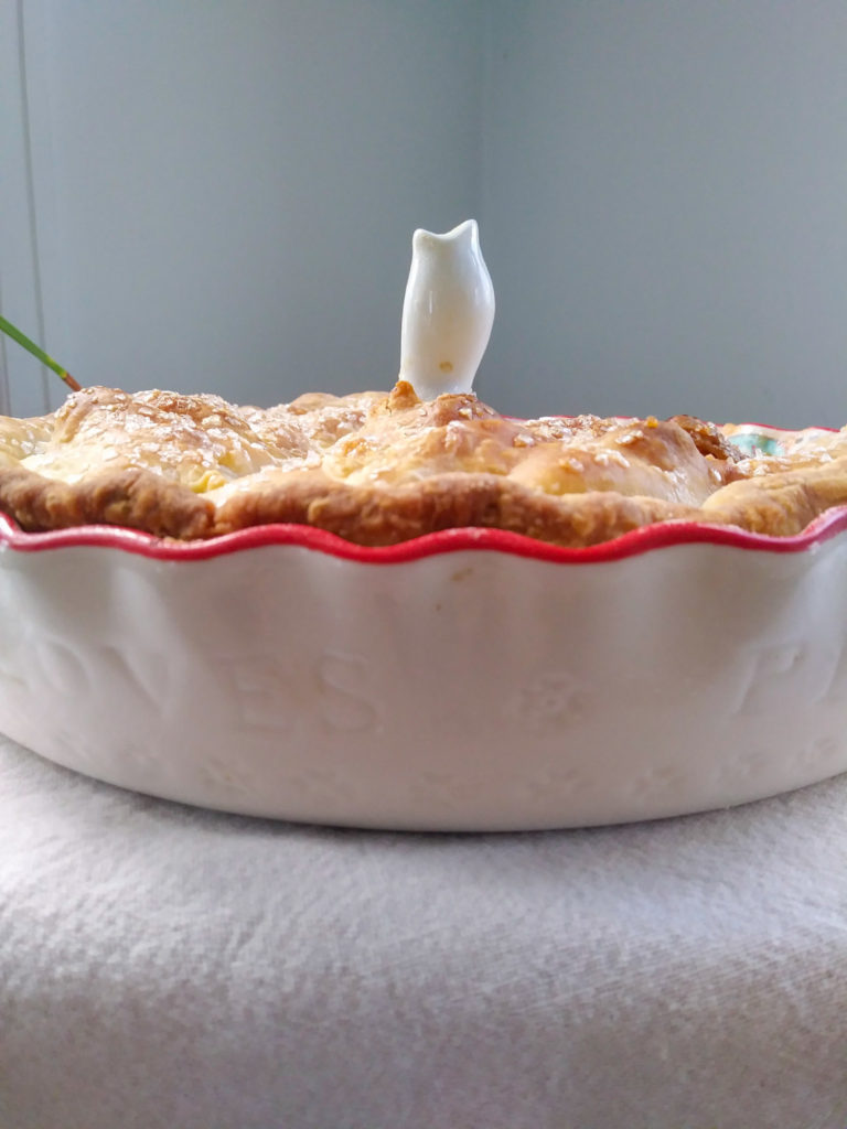 Peach Ginger Pie