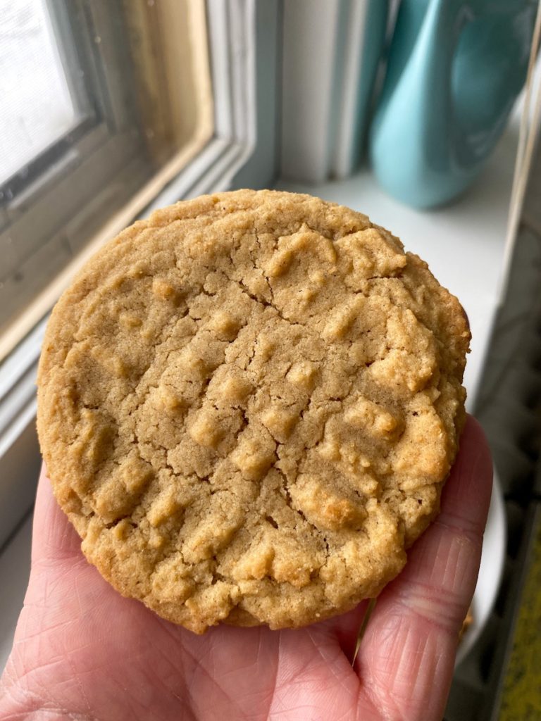 Garam Masala Peanut Butter Cookies