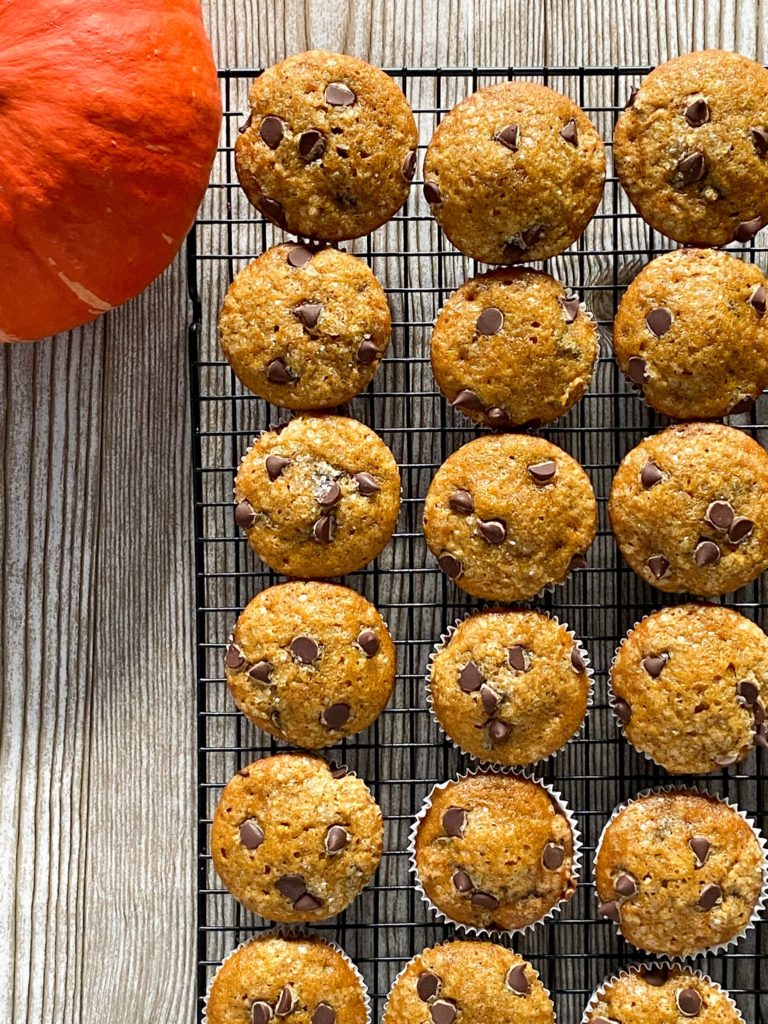 Pumpkin Chocolate Chip Muffins