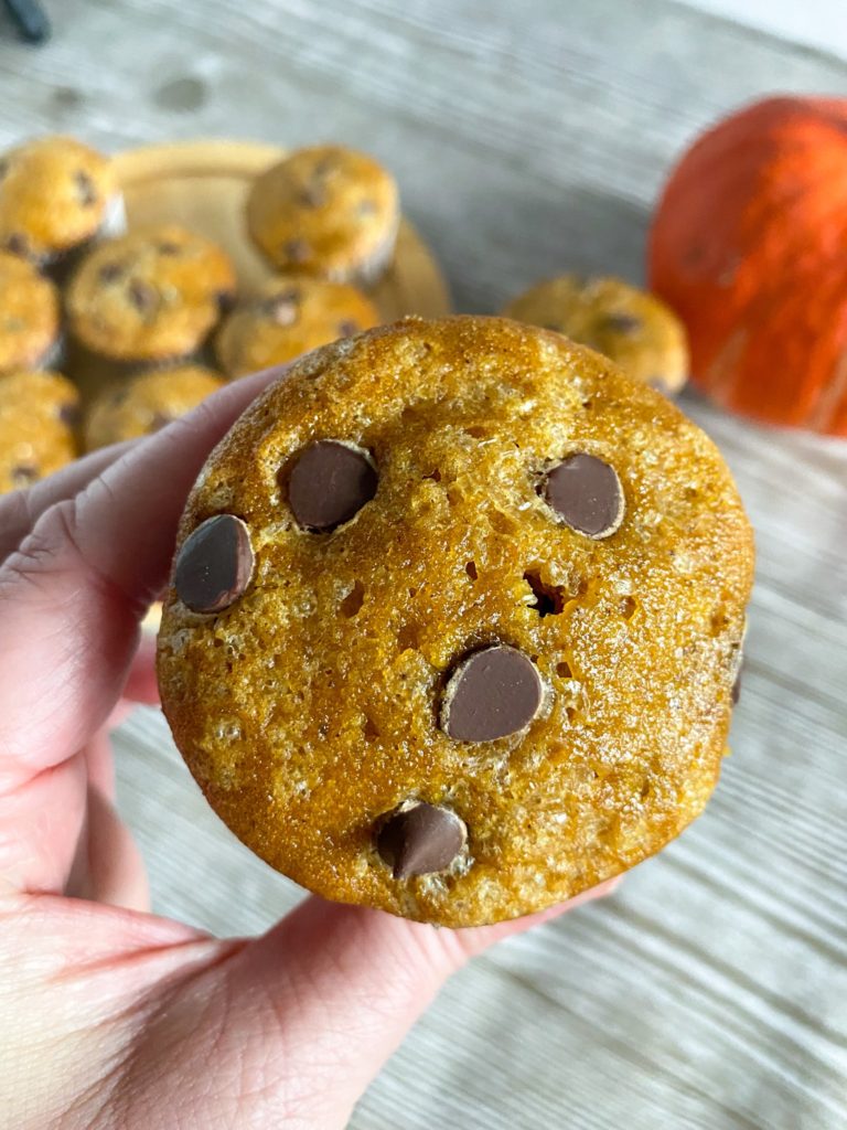 Pumpkin Chocolate Chip Muffins