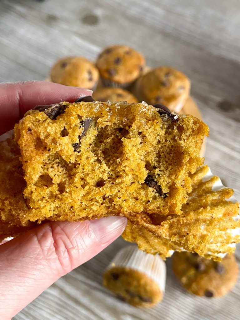Pumpkin Chocolate Chip Muffins